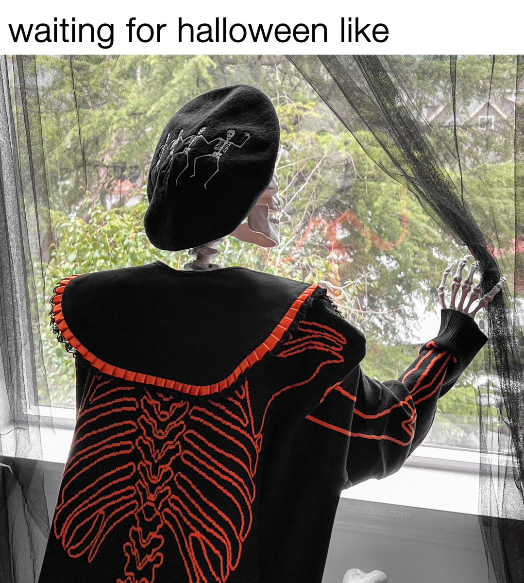 Foxblood tweet media