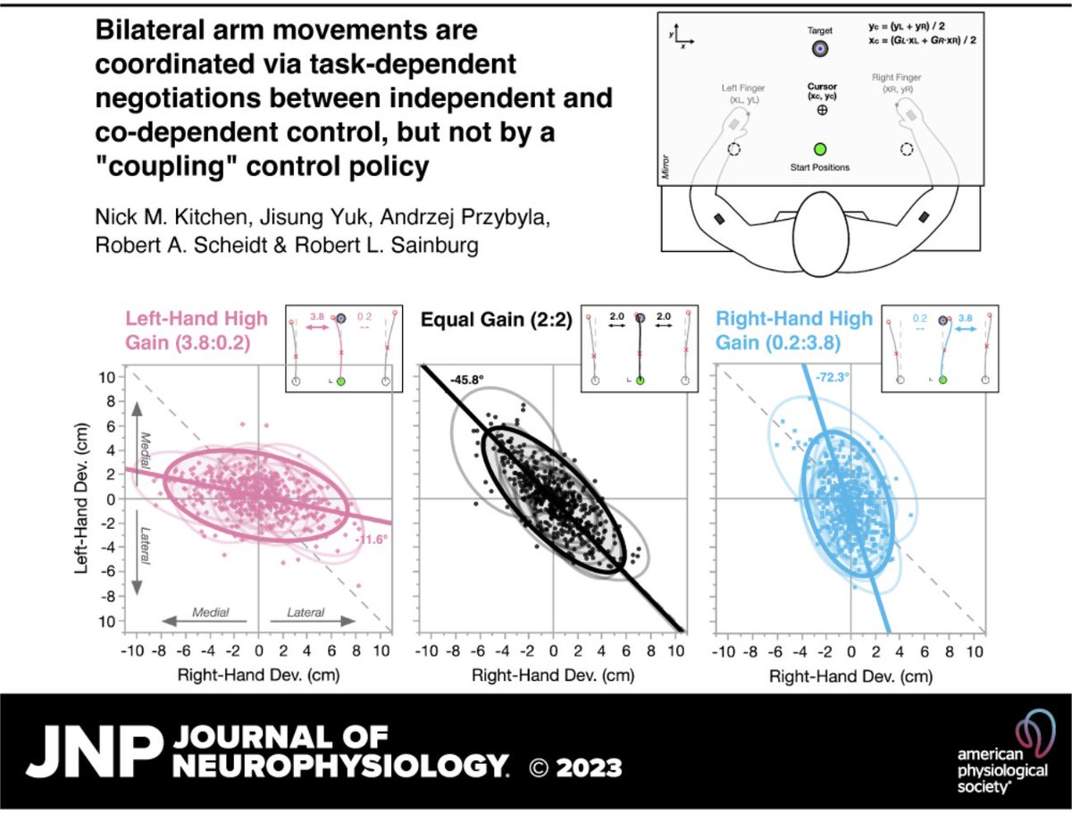 Our new paper in @JNeurophysiol - we propose that bimanual coordination is mediated by combinations of independent and codependent control on a task-specific basis, providing evidence against bilateral 'coupling' (Thanks @JisungYuk + co-authors!)

journals.physiology.org/doi/abs/10.115…