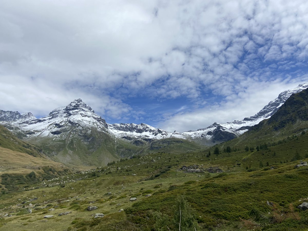 Charlotte Robinson tweet media