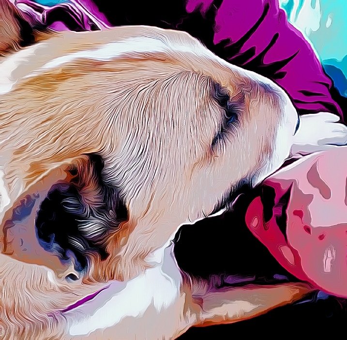 PapiMorgane's tweet image. 7 ans Torpille ❤
5 ans Mommy 🎉🌈🎈💐🦴