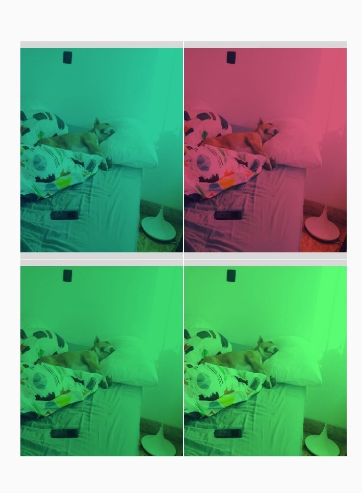 PapiMorgane's tweet image. 7 ans Torpille ❤
5 ans Mommy 🎉🌈🎈💐🦴