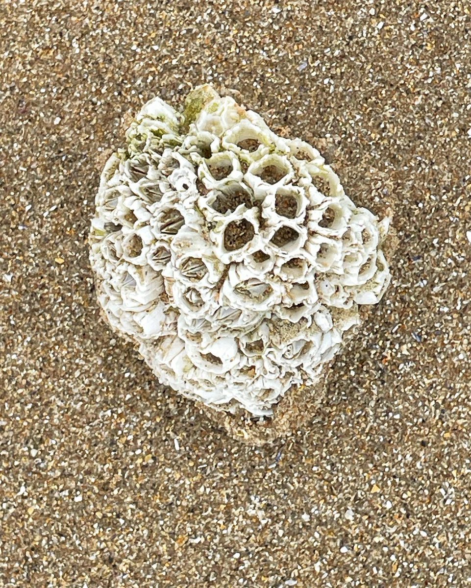 DNeklesa's tweet photo. #Wales #Tenby ❤️🏴󠁧󠁢󠁷󠁬󠁳󠁿❤️🏴󠁧󠁢󠁷󠁬󠁳󠁿 https://t.co/C8gWsIY7GQ