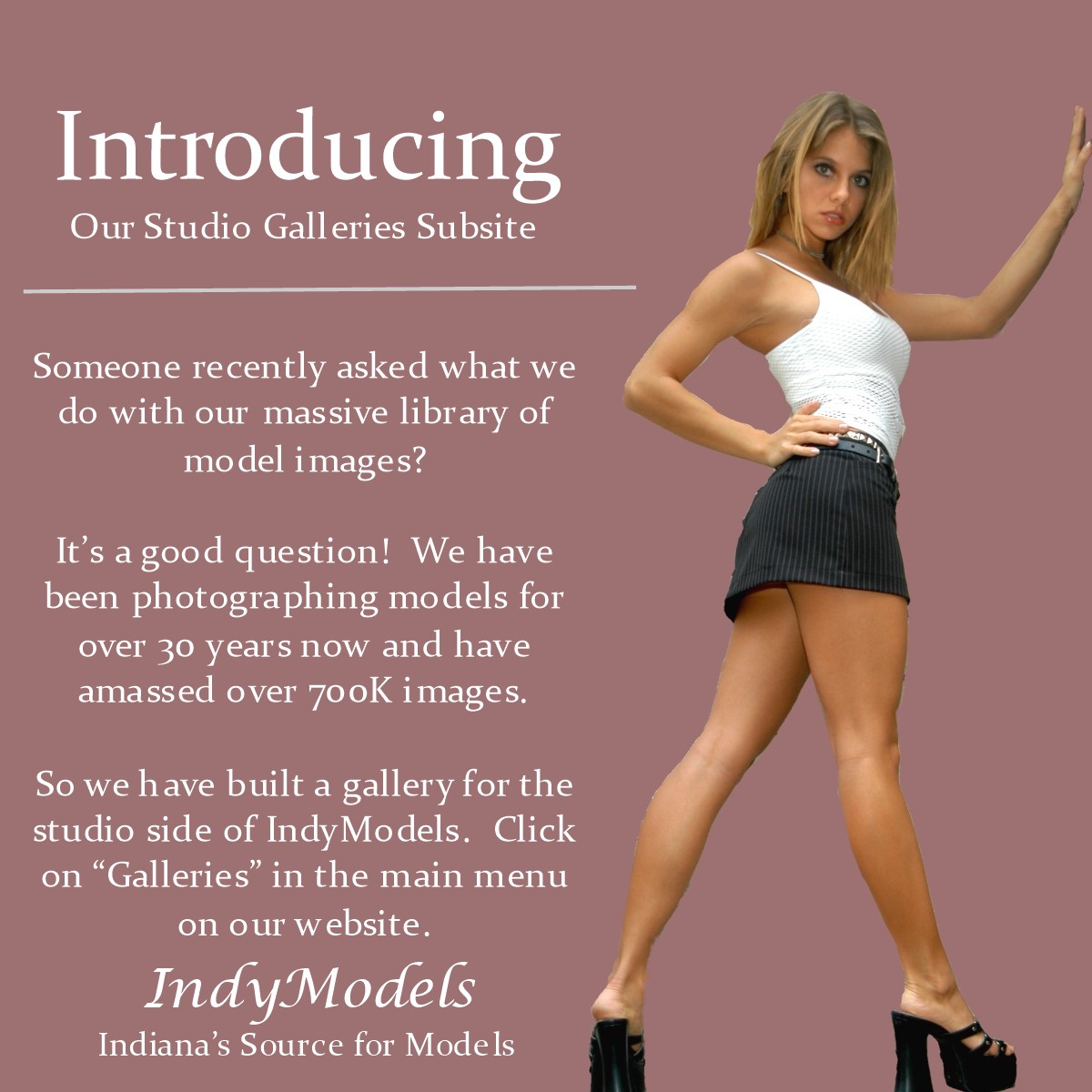 IndyModels's tweet photo. We likely have the largest model photography database in America.  Check it out: https://t.co/6DLjom6yom  #model #models #modeling #photography #fashion #bikini #lingerie #runway #boudoirphoto https://t.co/pK6meH5thS