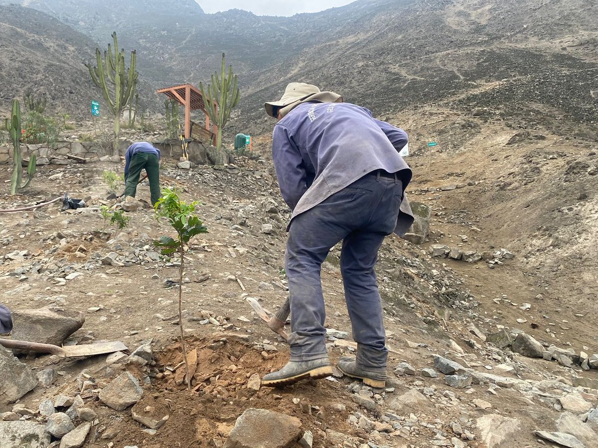 Municipalidad de La Molina tweet media