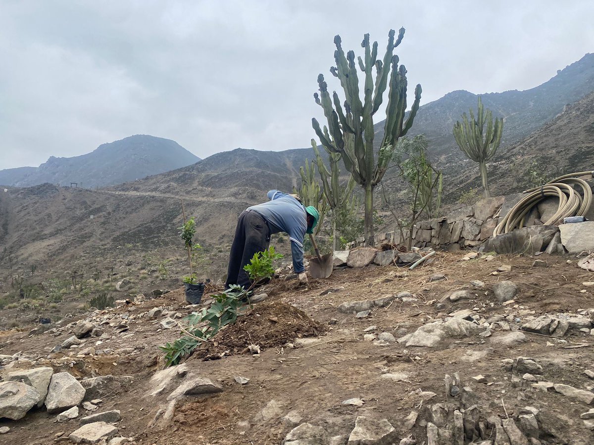 Municipalidad de La Molina tweet media