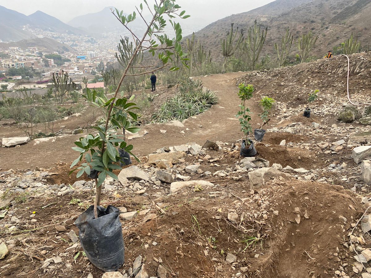 Municipalidad de La Molina tweet media