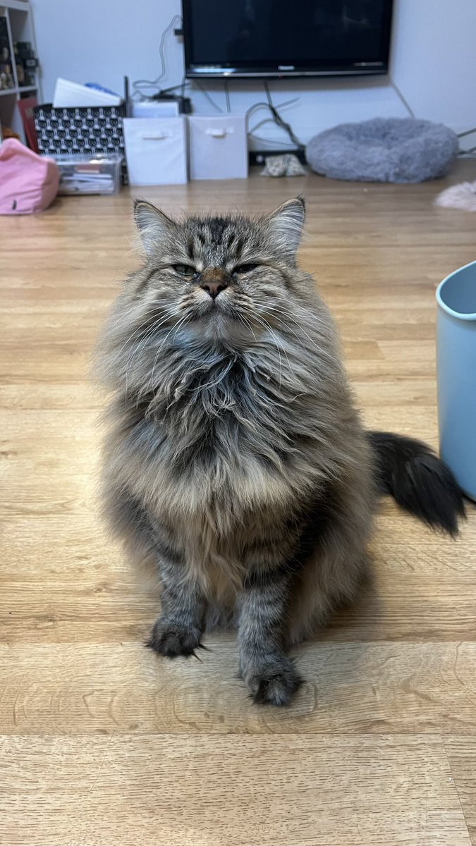 When you’re asked to smile for the camera but had 2 hours sleep