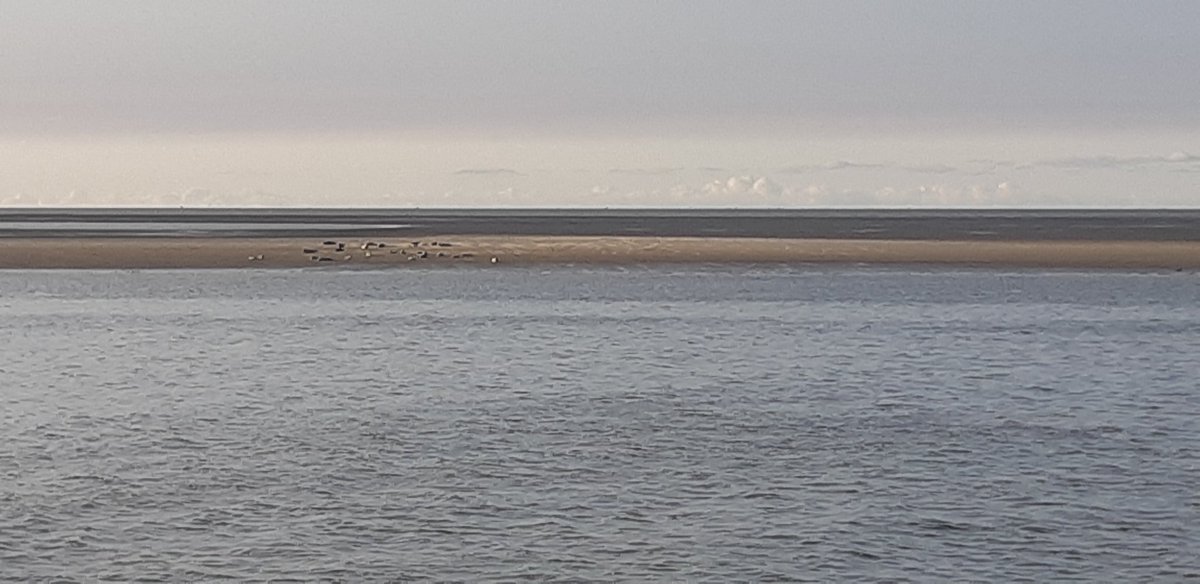 Dirk Kooistra Raadslid CDA Noardeast-fryslan tweet media