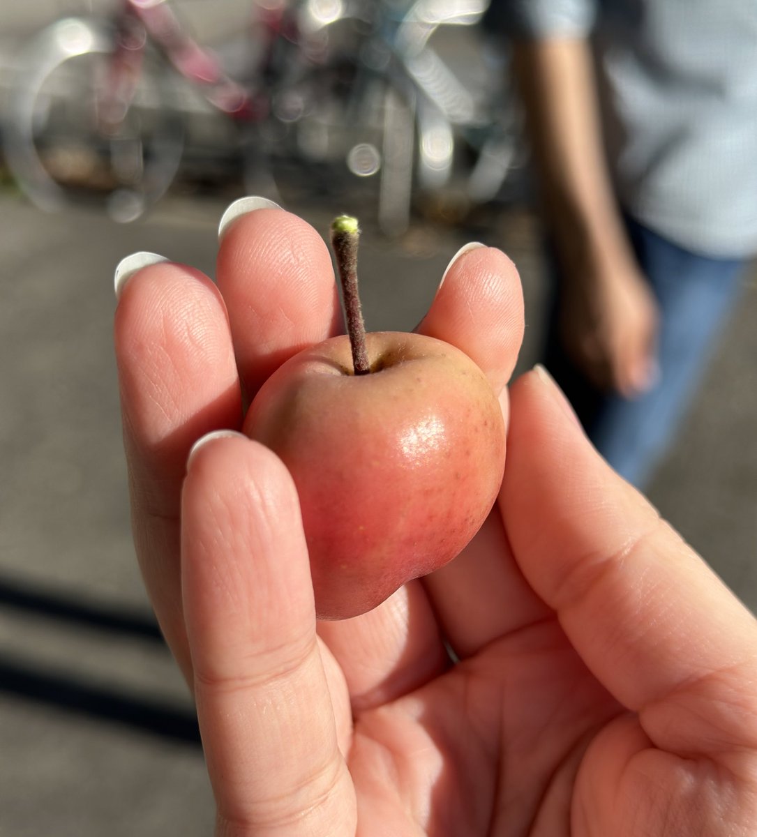 Sara 🍉 tweet media