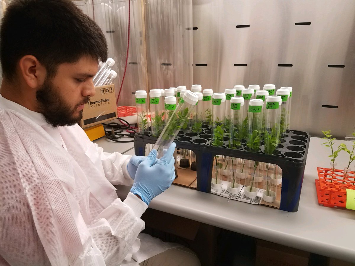 Interested in plant pathology? Become a Molecular Biologist with APHIS! You’ll perform PCR, Sanger sequence analysis, &amp; other diagnostic tests to find + identify plant pests &amp; pathogens that pose threats to U.S. agriculture. Jobs close 9/7; apply today! usajobs.gov/job/746377500