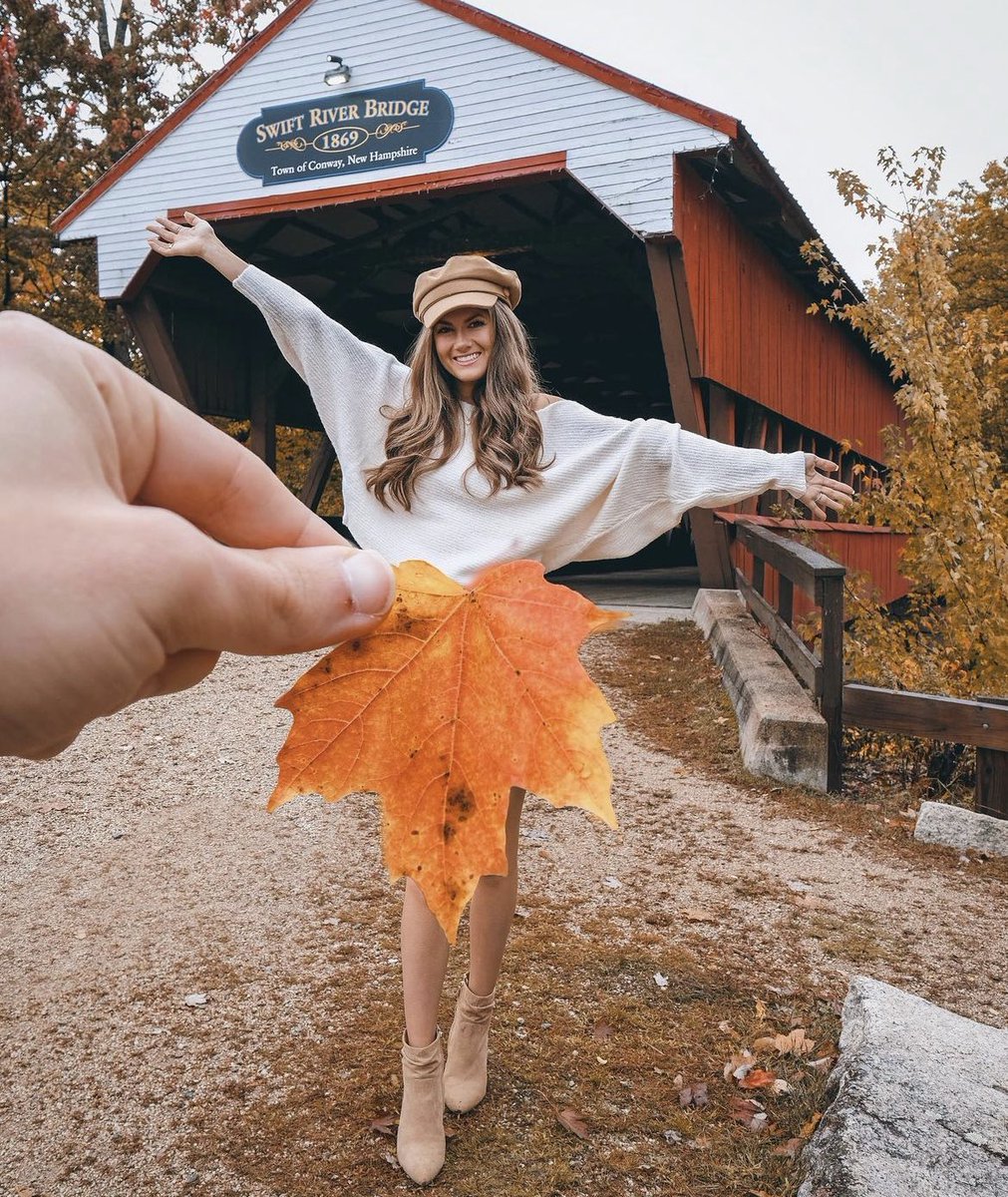 niccoyat's tweet image. it’s showtime.