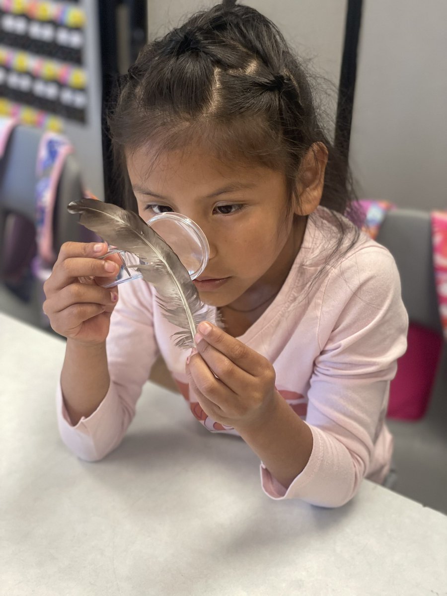 SH1stGrade's tweet photo. We are all scientists! Learning to make observations in 1st grade! #itsworthit @SlateHillStars @wcsdistrict https://t.co/0fFoGLE07y