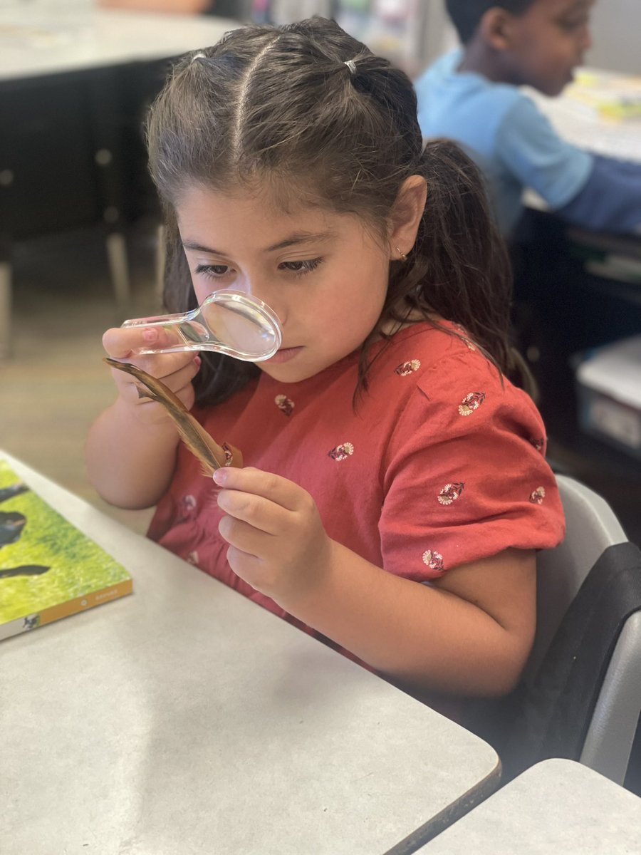 SH1stGrade's tweet photo. We are all scientists! Learning to make observations in 1st grade! #itsworthit @SlateHillStars @wcsdistrict https://t.co/0fFoGLE07y