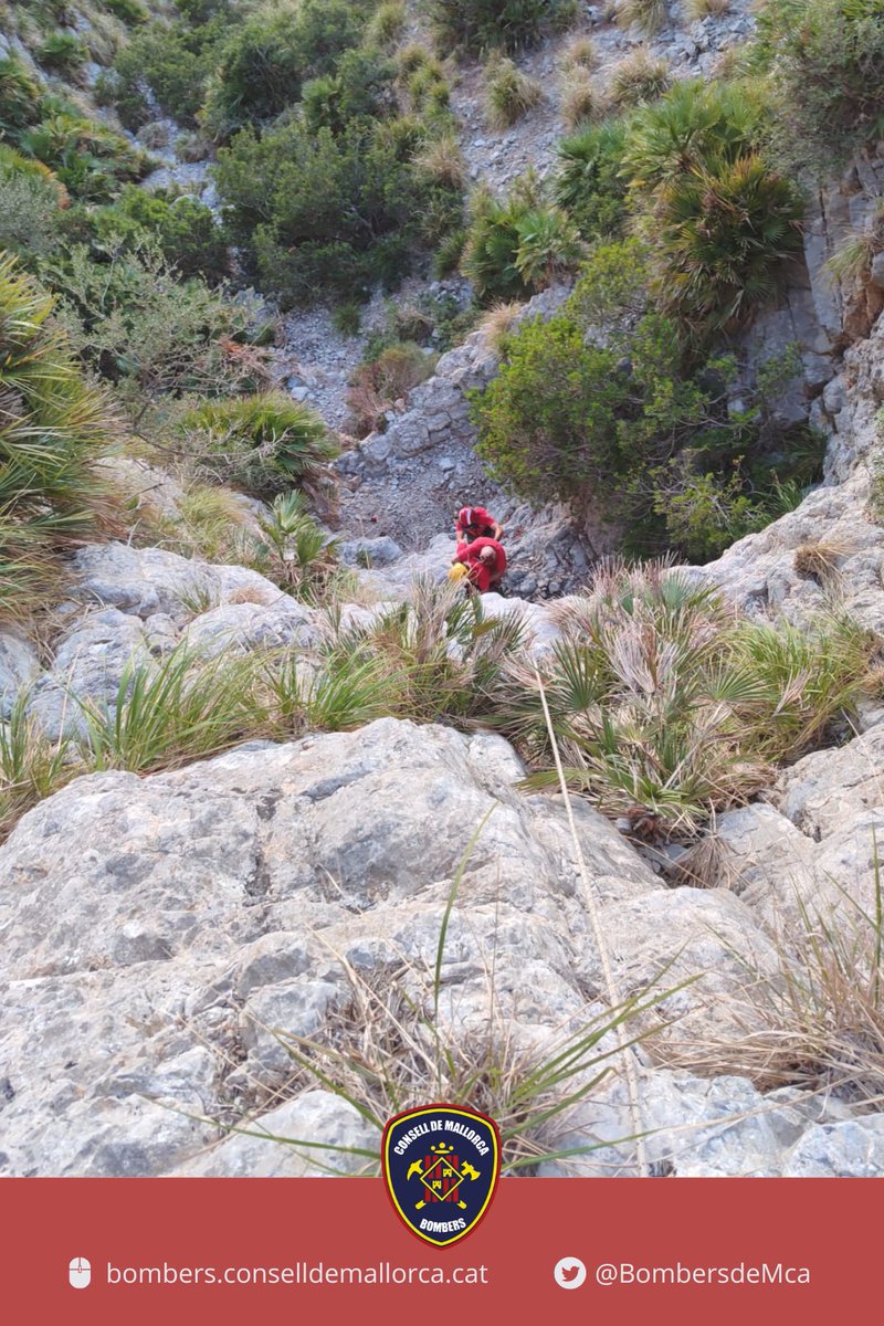 BombersdeMca's tweet image. Rescat d'un senderistea anglès que ha caigut a prop de #LaVictòria, a Alcúdia. S'ha perdut, ha volgut baixar per una torrentera i s'ha fet una gran ferida al cap. L'hem  baixat amb cordes i acompanyat fins l'ambulància.
@SAMU061IB
#ParcAlcúdia
#ParcInca