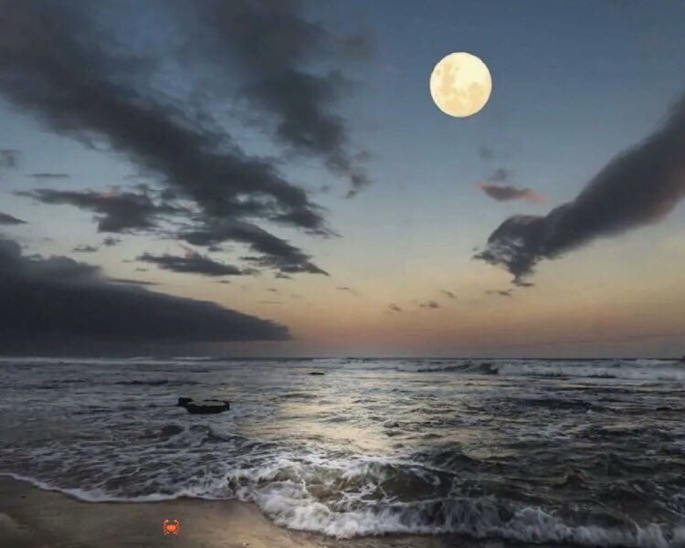 MrsRemote's tweet photo. @themoonpics_ Moon and a moon keeper https://t.co/1SPAr9w4Fk