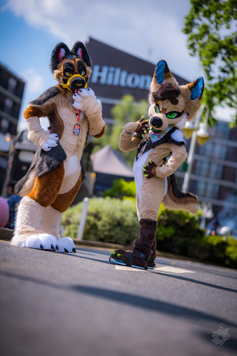 πβπΈπ π¦ (@fenneclicious) on Twitter photo Happy #FursuitFriday!! Did you register for Confuzzled yet? π
πΈ: <a href="/DinaloFoxxo/">Dinaloβ£οΈπ¦ π Megaplex</a> Happy #FursuitFriday!! Did you register for Confuzzled yet? π
πΈ: <a href="/DinaloFoxxo/">Dinaloβ£οΈπ¦ π Megaplex</a>