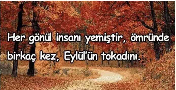 Eylülü takvimden bir ay zannedenler var. Oysa 
Eylül; vuslatı mahşere kalmış bir hikayenin adıdır….