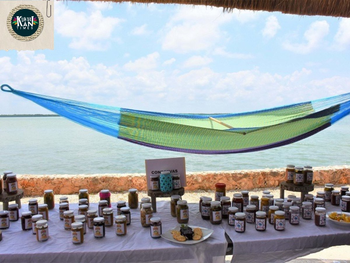KukulkanTimes's tweet image. El ICATCAM y la APICAM entregaron constancias de acreditación a 156 personas que tomaron cursos de elaboración de hamacas, conservas, jabones artesanales y macramé en Isla Arena.

#ICATCAM #APICAM #IslaArena 🎓👏🌴