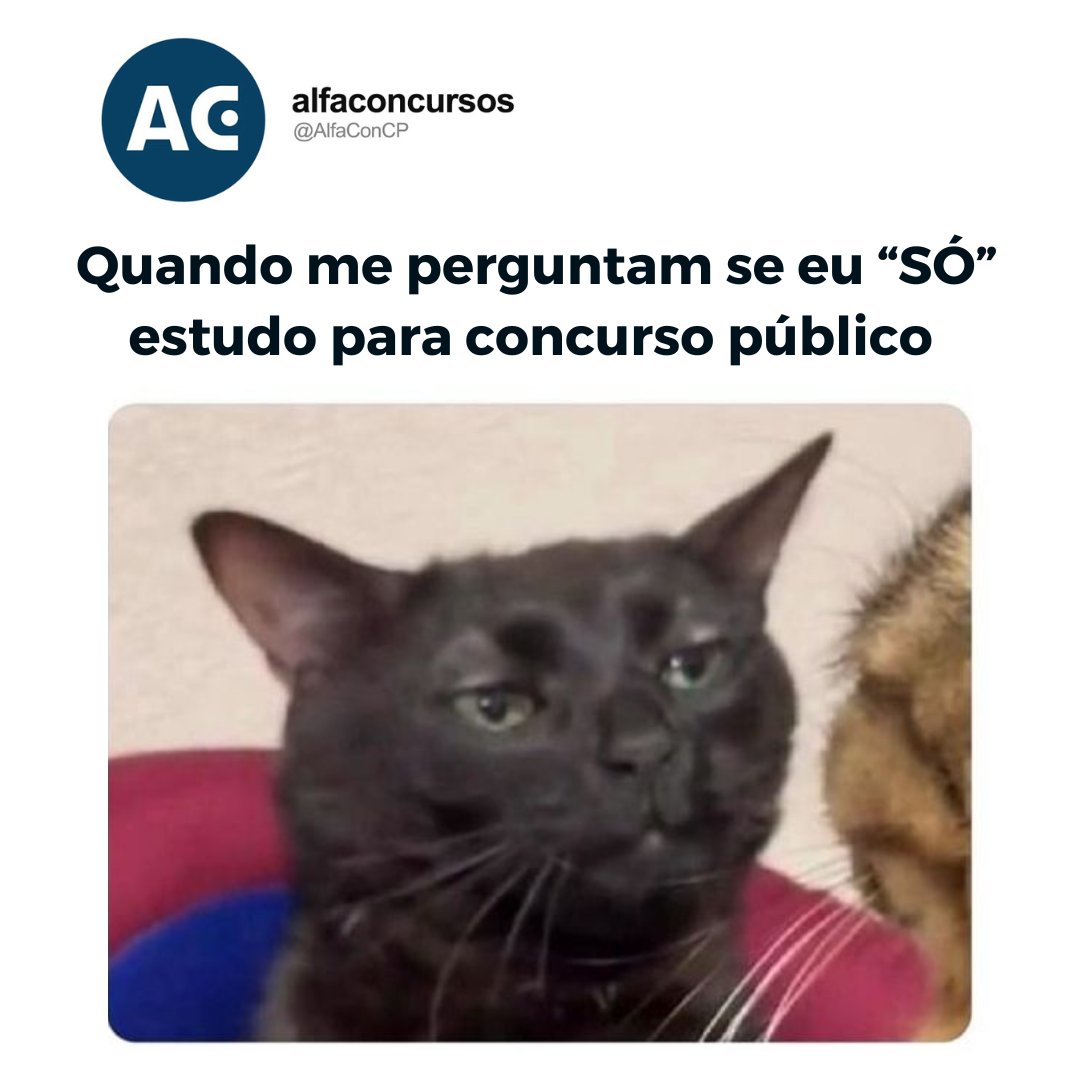 alfaconcursosof's tweet photo. Respira fundo concurseiro, logo sua
aprovação vem e você vai poder dizer que é
CONCURSADO!!! 😌😂
#alfacon #memeconcurseiro #concursopublico https://t.co/pgMmcvp6vl