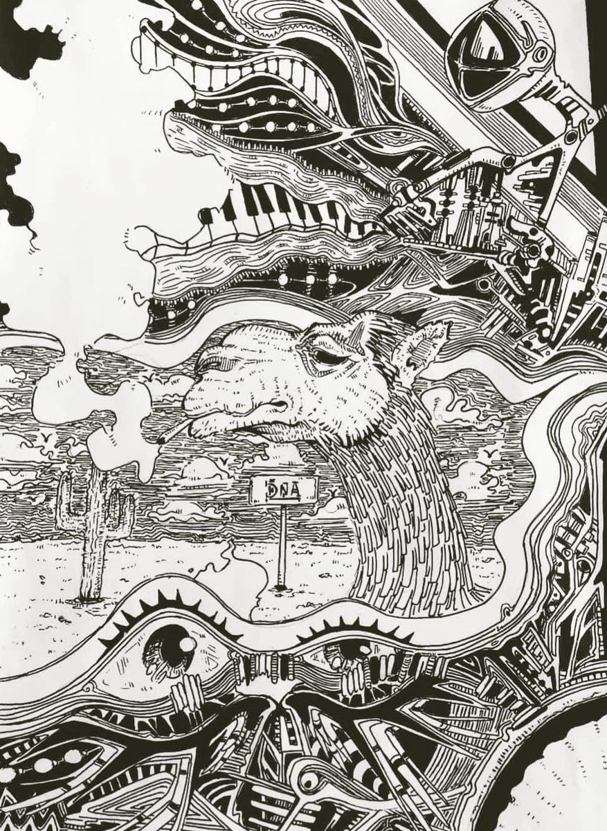 𝘊𝑎𝘮𝑒𝘭 • 𝘴𝑜𝘶𝑙 💫