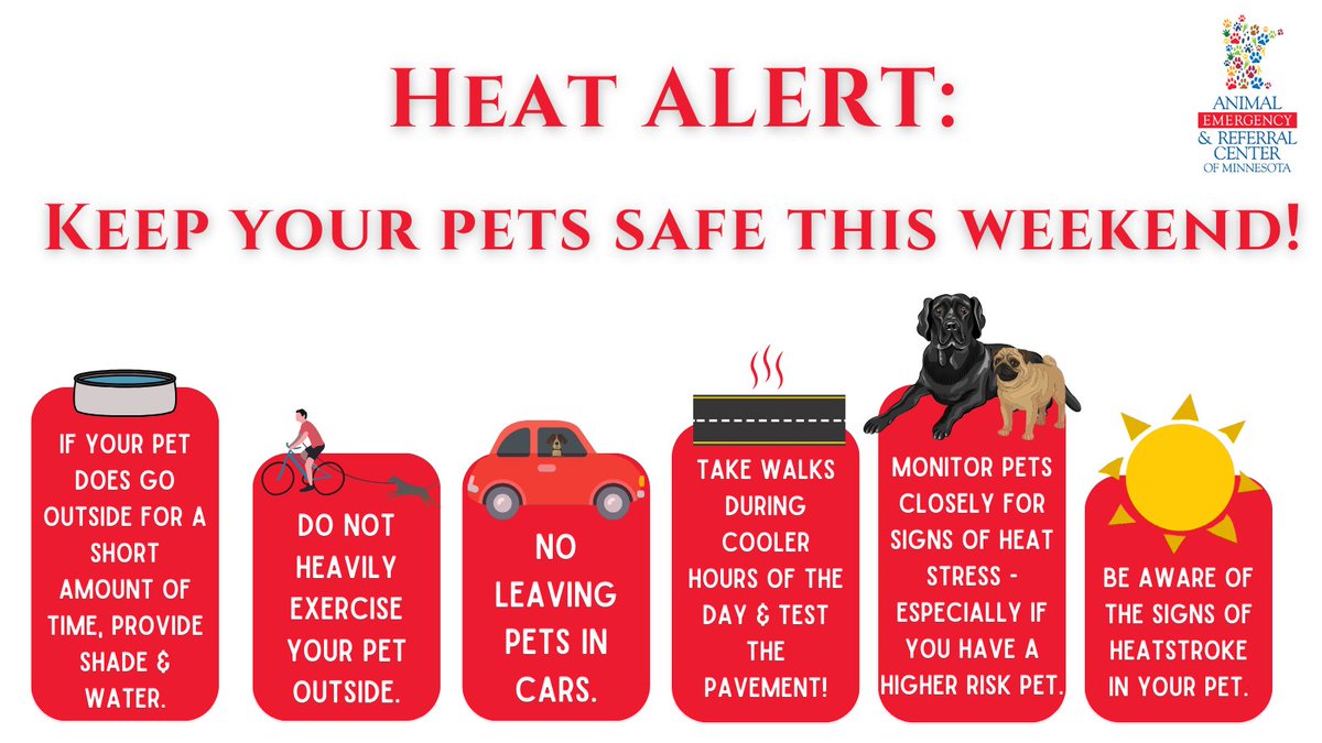 It's going to be a HOT #labordayweekend in the #TwinCities! If you were planning to bring your dog hiking or camping - you may want to reconsider! View our heat safety tips for #pets here: aercmn.com/summer-heat-ri…

#Heatkills