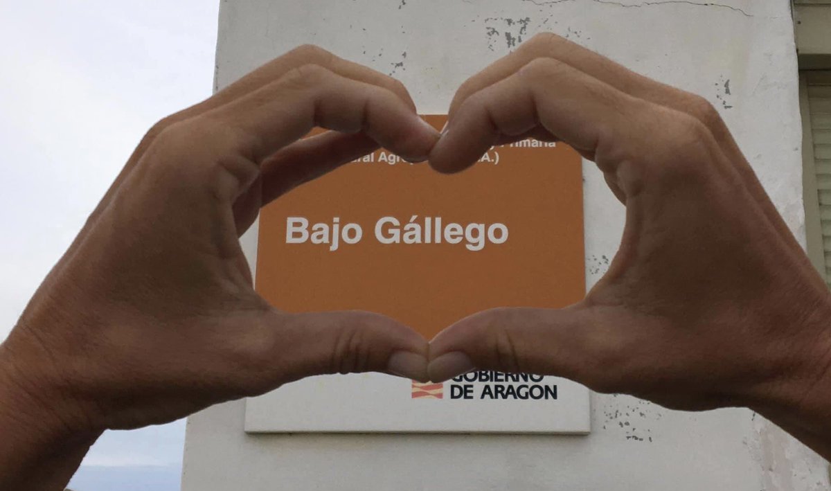 Hoy damos la bienvenida al curso 23-24.Abrazos en los reencuentros entre compañeros/as ya conocidos y de acogida calurosa a aquellos que se unen al proyecto del colegio.
Bienvenidos a todos aquellos que formáis parte de la Comunidad Ed del CRA Bajo Gallego. Nos vemos el día 7!!