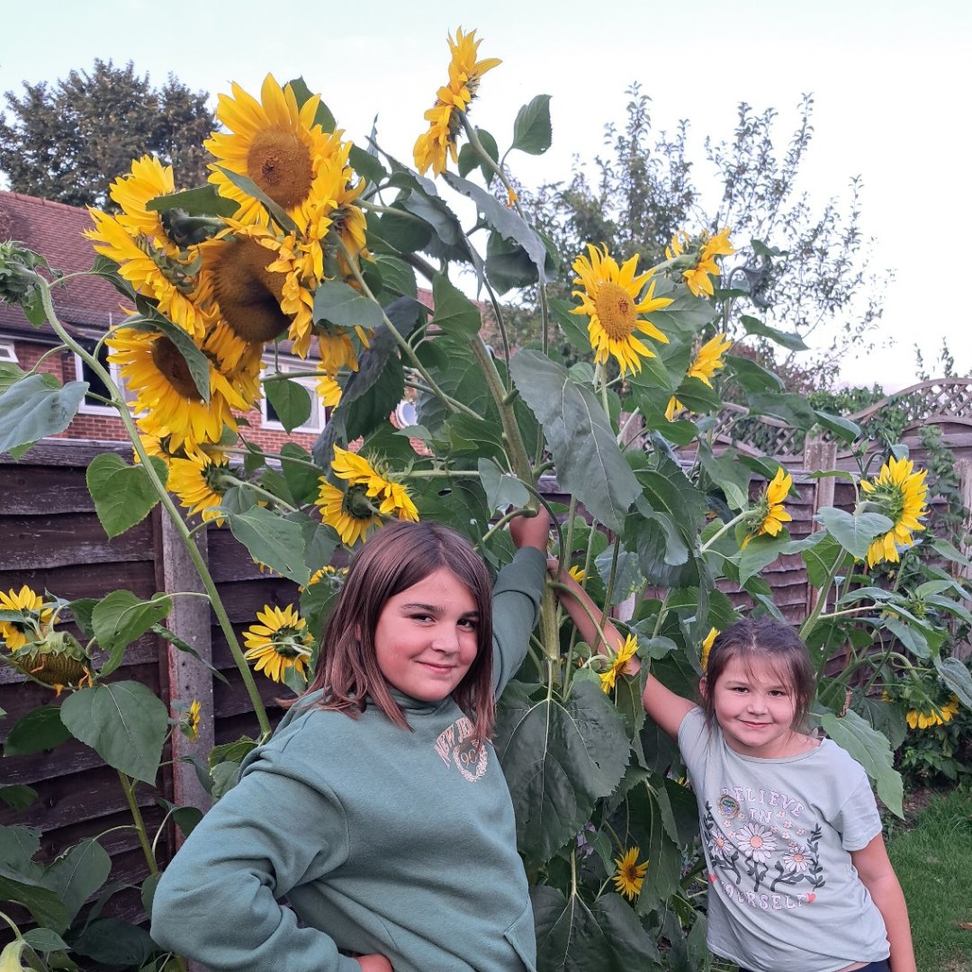 Check out the winners of our #sunflower competition on our website. Well done to the winners and all who entered! #growtogether growsopwell.org/2023/09/01/and…
<a href="/SopwellResident/">Sopwell Residents Association</a>