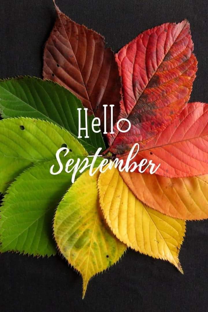 BOjerom's tweet photo. Hello hello! muy lindo inicio de mes 
SEPTIEMBRE trae eventos que amo!
El festejo de nuestra Independencia 
💚🤍❤️
Y mi temporada favorita de favoritas !
La llegado del otoño🍁🧡💛🤎
Deseándote un mes llenó de éxito y buenos momentos! @AnaSilviaFlo
@SonyAFe16 @ErikaMedo https://t.co/HtYZrsiom7