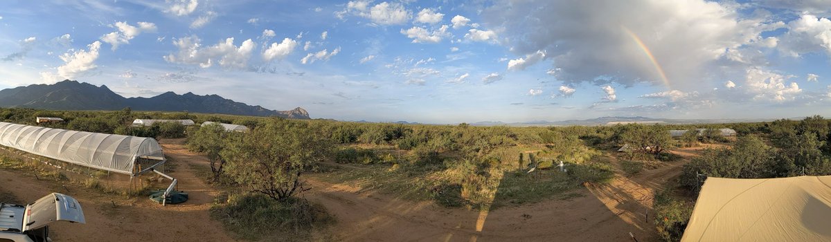 Jessica Guo (@jessicasguo) on Twitter photo Last predawn day for <a href="/Wkolby/">WK Smith 🌎</a> on Wed. Sunrise rainbows at #RainManSR never disappoint. Can you spot our shadows? Last predawn day for <a href="/Wkolby/">WK Smith 🌎</a> on Wed. Sunrise rainbows at #RainManSR never disappoint. Can you spot our shadows?