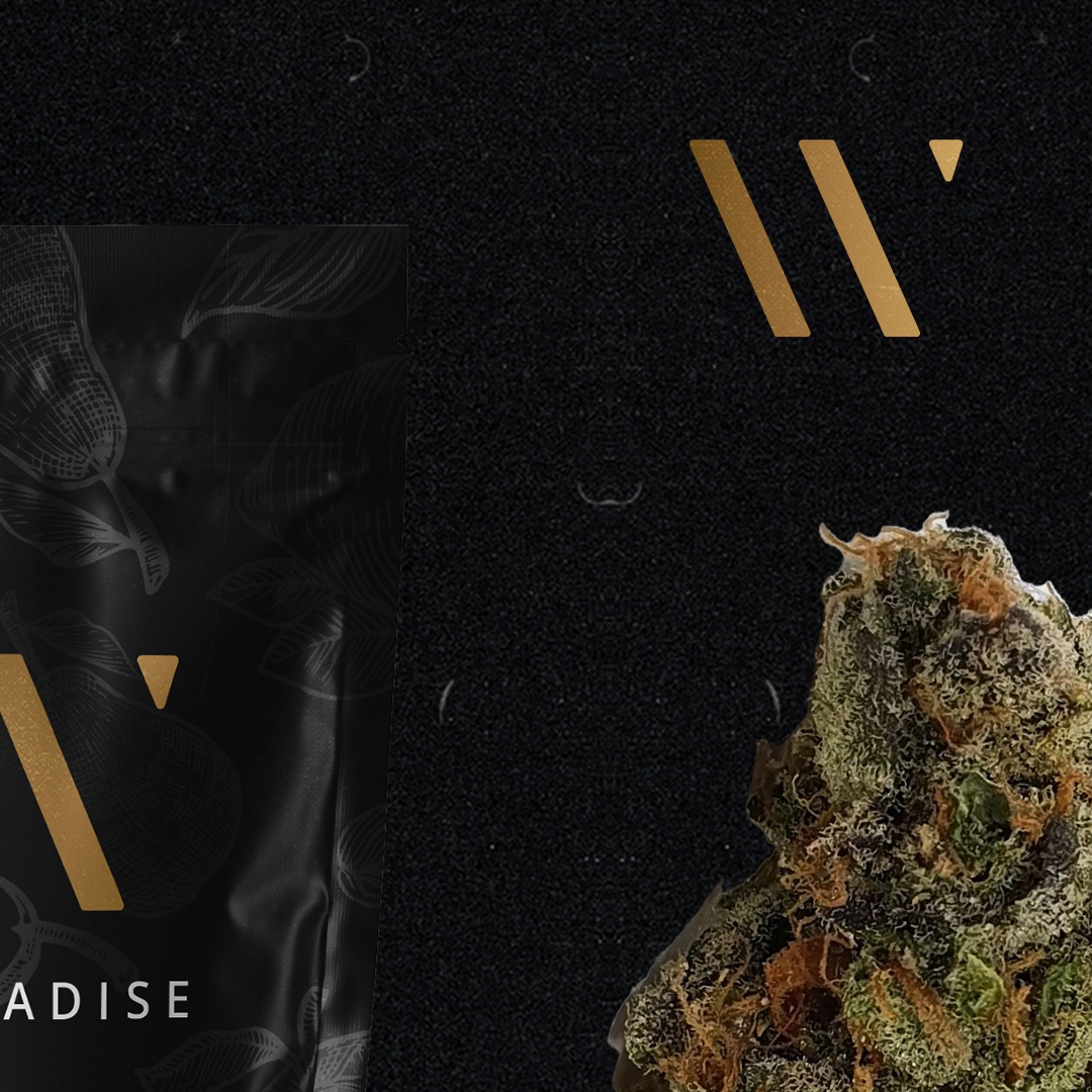 Pearadise... sweet &amp; fruity with a hit of pear. High potency, high terp, high quality. Click the link in our bio to learn more 🍐 ⁠
⁠
#ForThoseWhoKnow