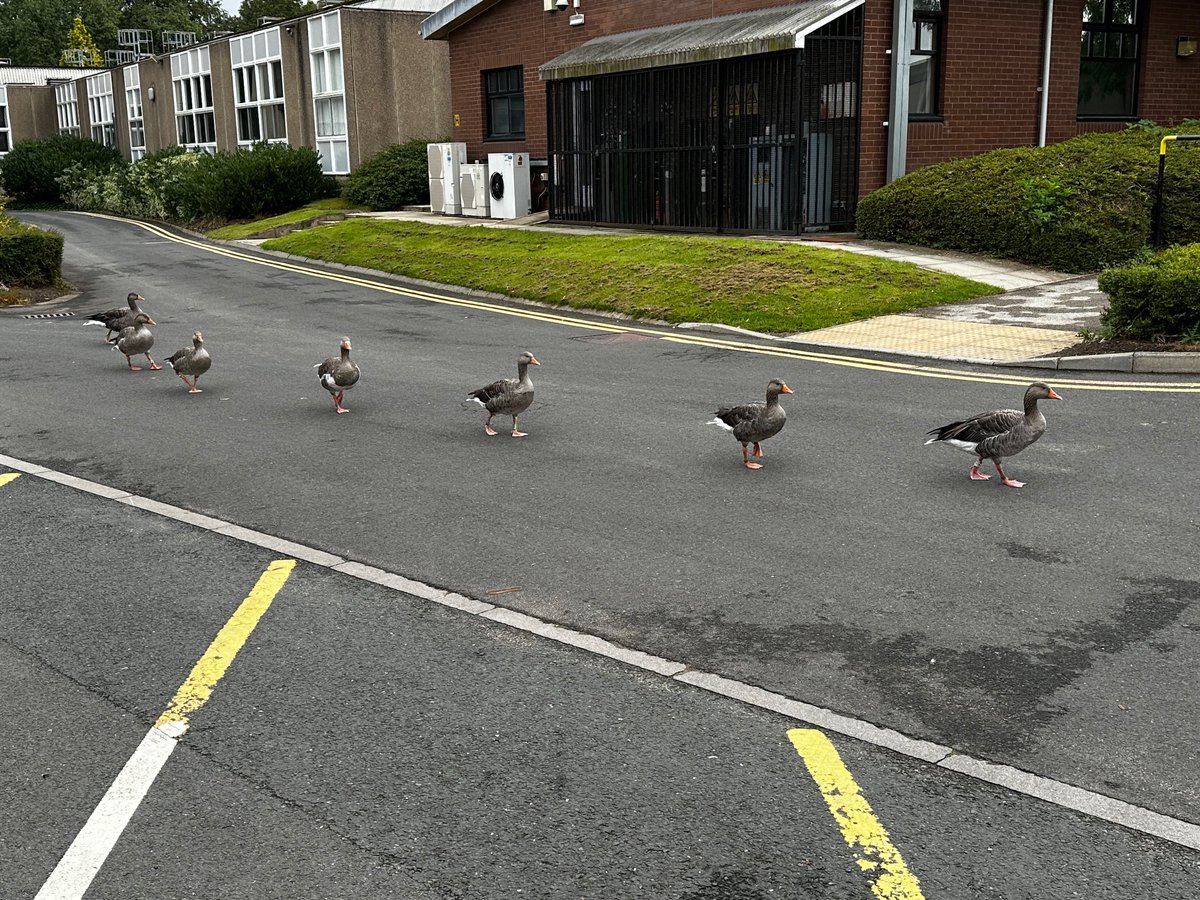 Traffic is bad this evening. Expect delays.