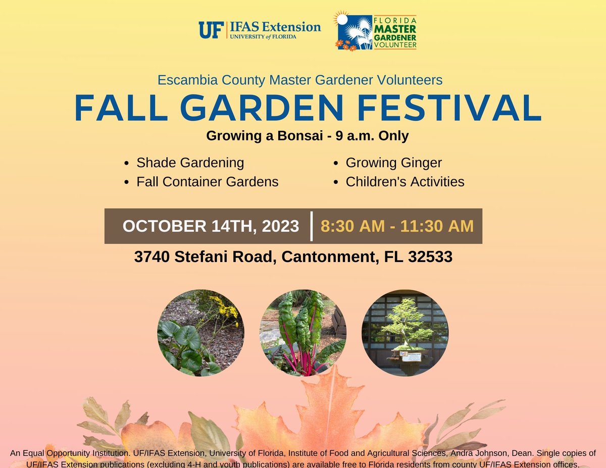 UFIFASEscambiaCo tweet media