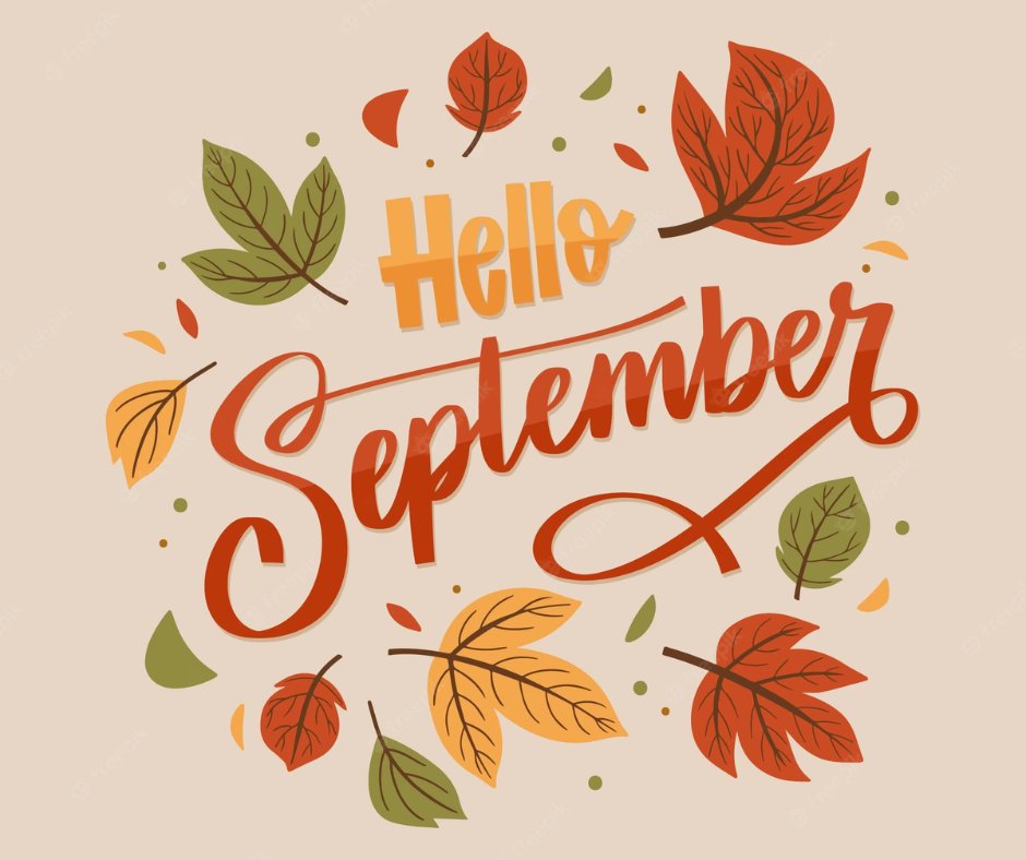 VINTECHSYSTEMS's tweet image. Can you believe it’s already September?! Fall will be here in a few weeks! 🍂🌻 What are your fall plans? 🤔

#VinTechSystems #Fall #FallPlans #Autumn #September #September1st #Chicago #IL