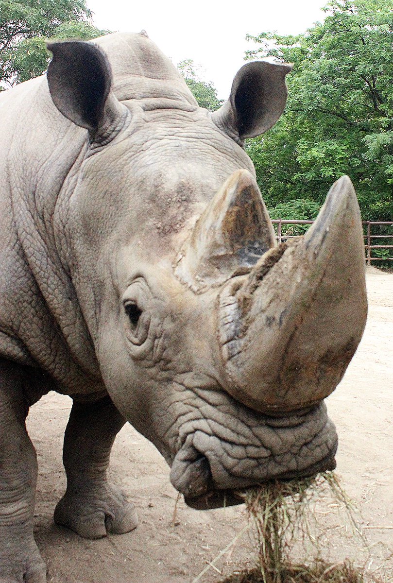 Indianapolis Zoo tweet media