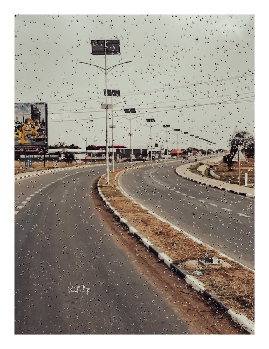 saadShots's tweet image. Show me your best phone photo..