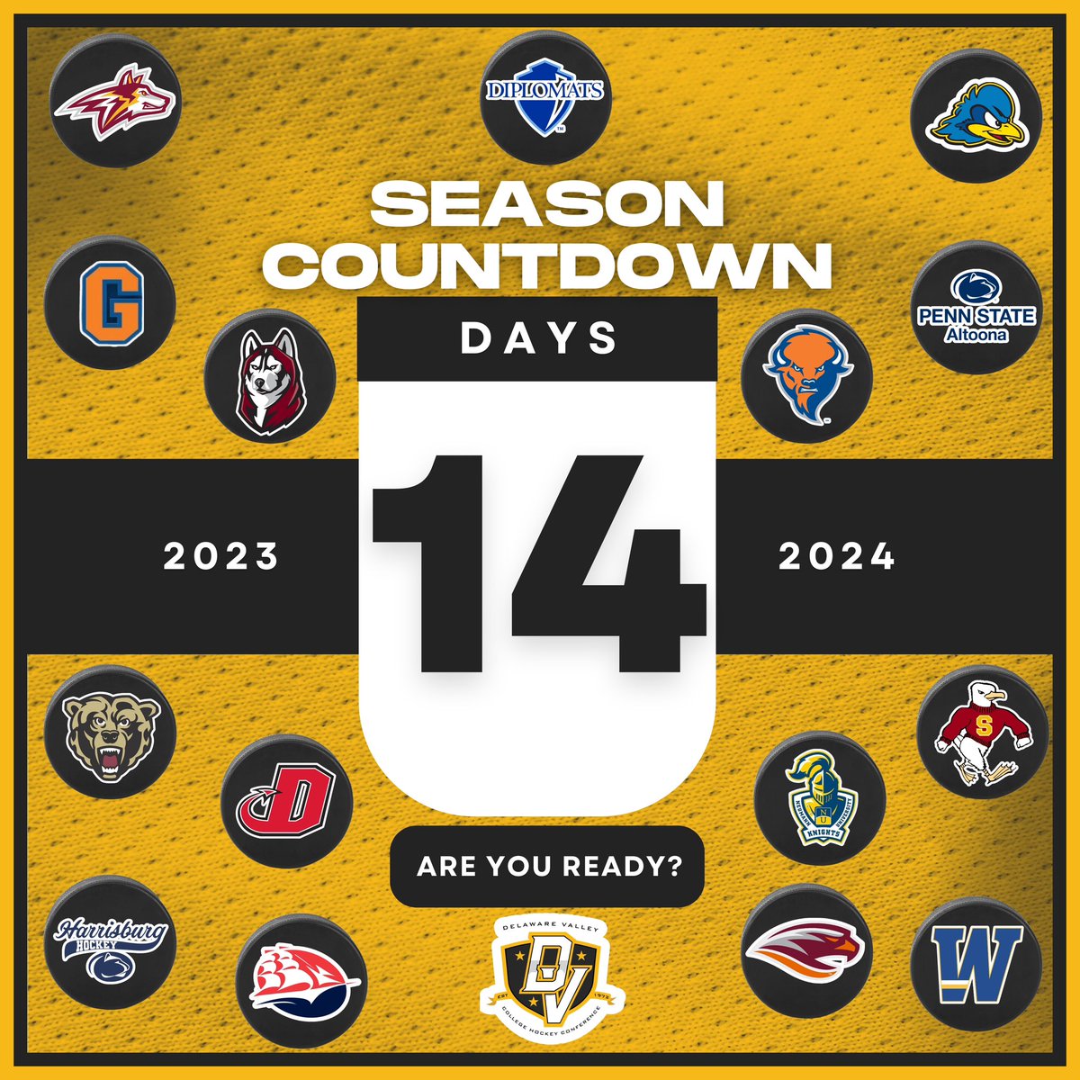 Happy Friday Hockey People! We Are Just 2 Weeks, 14 Days Away Until The Official Start Of The 2023-2024 Sesson, Are You Ready? #DVCHC #SeasonLoading #MensHockey