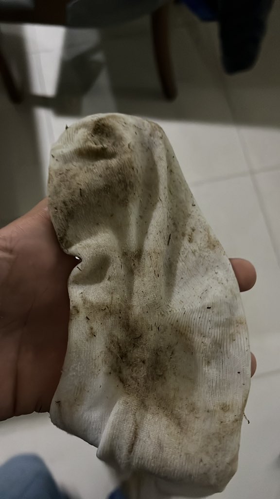 Bigalpha152's tweet photo. Don't be wasting my time fags, come
WORSHIP your new MASTER, worthless pigs.
Here's a pic of my dirty and worn socks. #feetpig #feet_lover #feet_pic #feetcontent #FEETECH #feetfethish #feetfinder #feetnation #feetpic #feetpig https://t.co/zhBEMK4396
