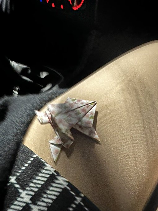 Vou aprender fzr origami e vender para comprar um ap na praia https://t.co/gGTZkcIq7D