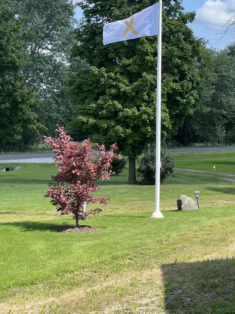 jen00636917's tweet photo. The Childhood Cancer Gold Ribbon Flag is raised here at home for Childhood Cancer Awareness Month for 10,000 Childhood Cancer Warriors and in memory of our Mags gone too soon https://t.co/kwyd3AalrL