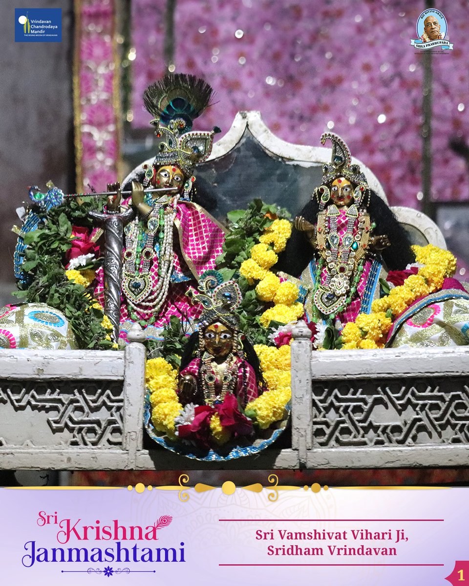 VCMVrindavan's tweet photo. Sri Vamshivat Vihari Ji,
Sridham Vrindavan
.
.
.
5 Days left for Sri Krishna Janmashtami.
.
.
.
.
.
.
.
.
#VrindavanChandrodayaMandir #Vrindavan #TallestTemple #Janmashtami #Gemsofvrindavan #ExploreBraj #vamshivat #rasalila #gopinatha https://t.co/sonwTf67Ix