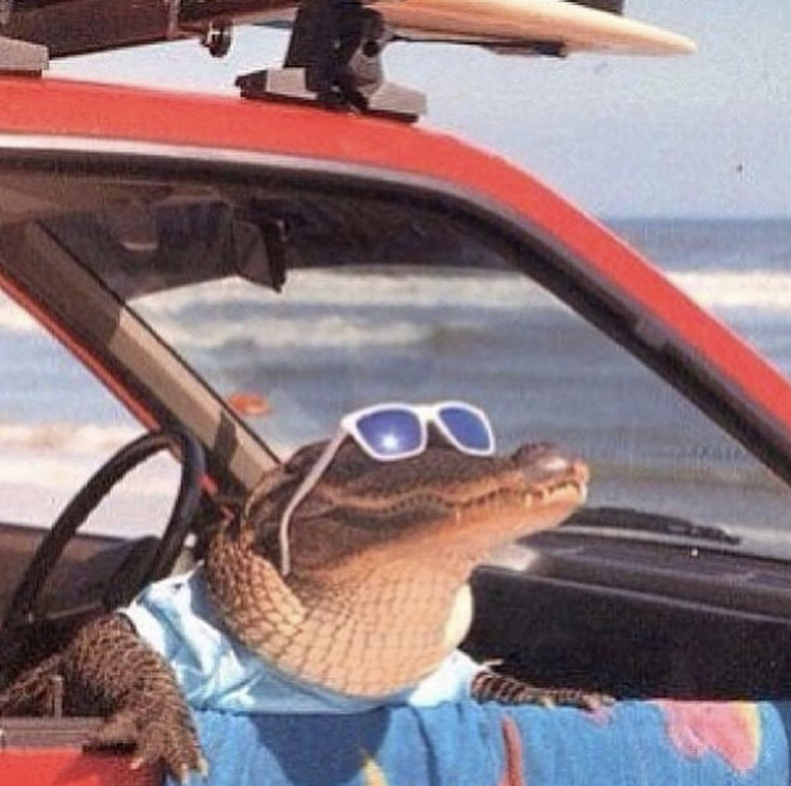 Blake O. Oltmann tweet media