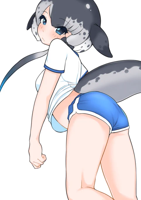 Cetacean style, dolphin shortsイルカたちドルフィンショーツシリーズ 