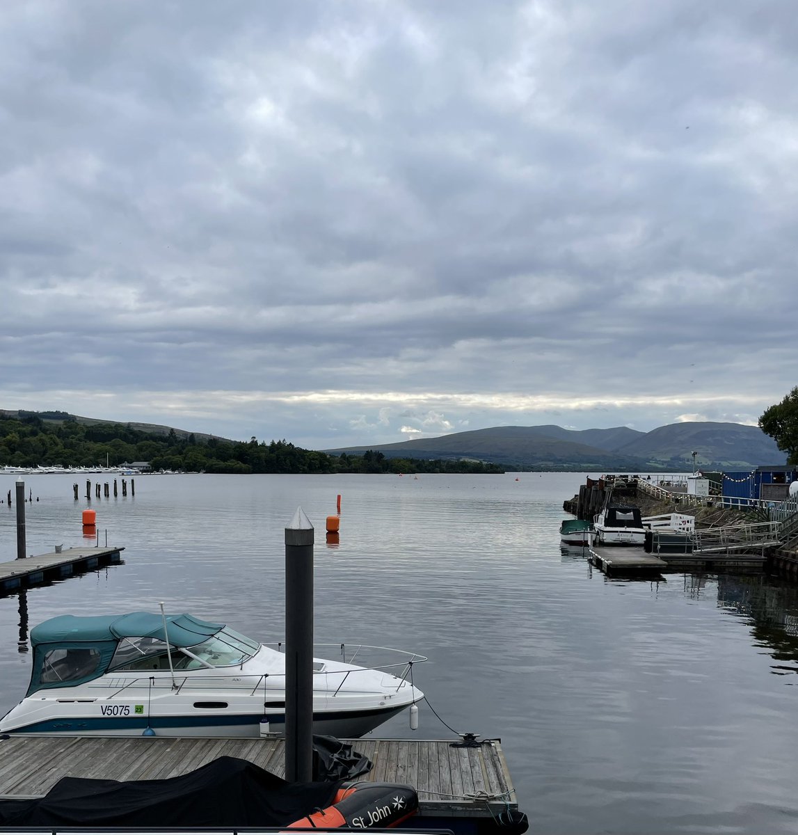 Jasmine Harrison tweet media