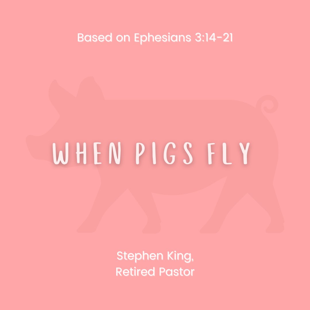 BoulderChurch's tweet image. Join us tomorrow, September 2, at 9:30 a.m., for worship with retired Pastor Stephen King as he shares the sermon, When Pigs Fly, based on Ephesians 3:14-21. #BoulderChurch #WhenPigsFly