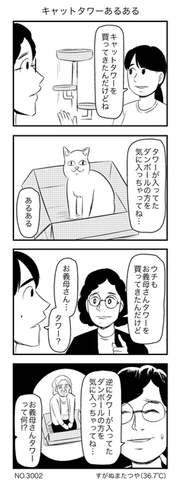 キャットタワーあるある 