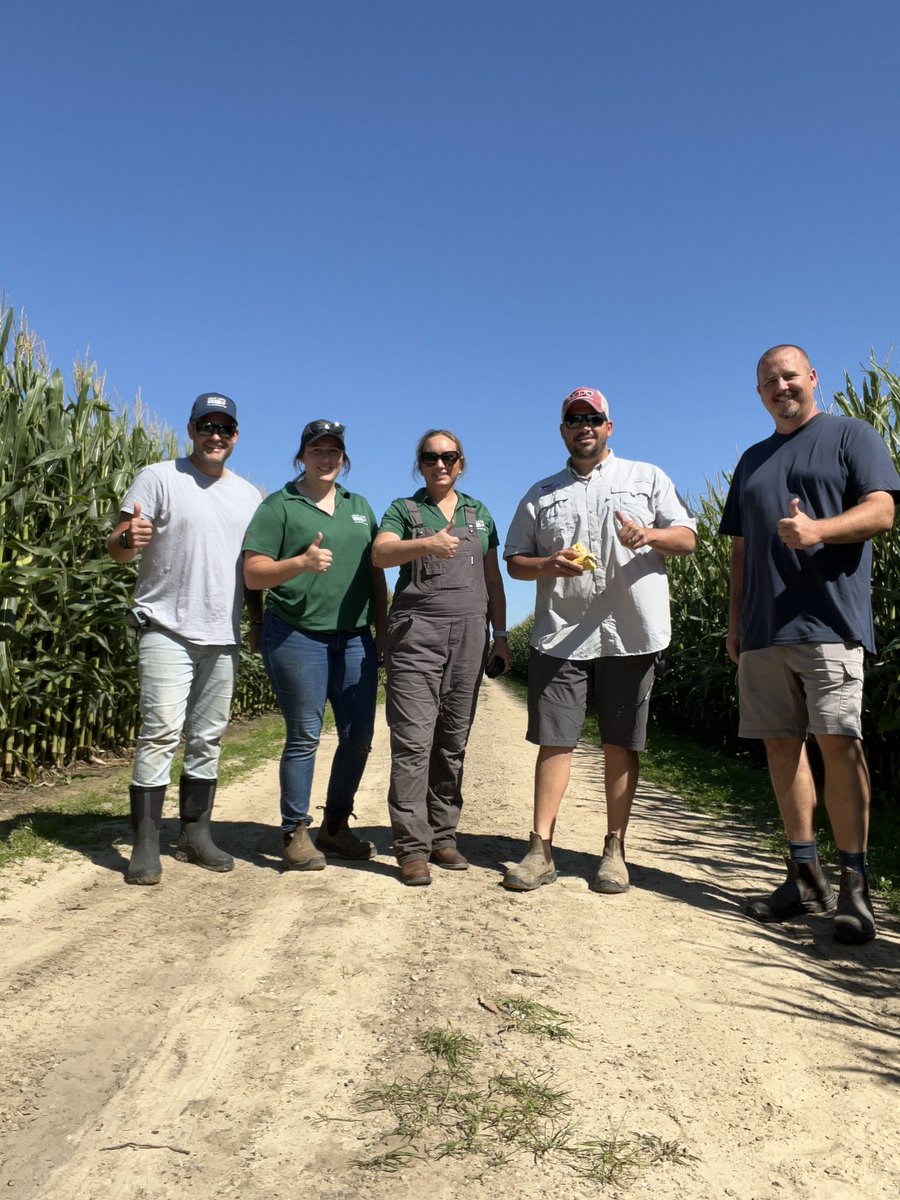 Nick Williamson tweet media