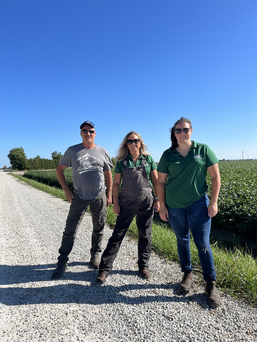 Nick Williamson tweet media