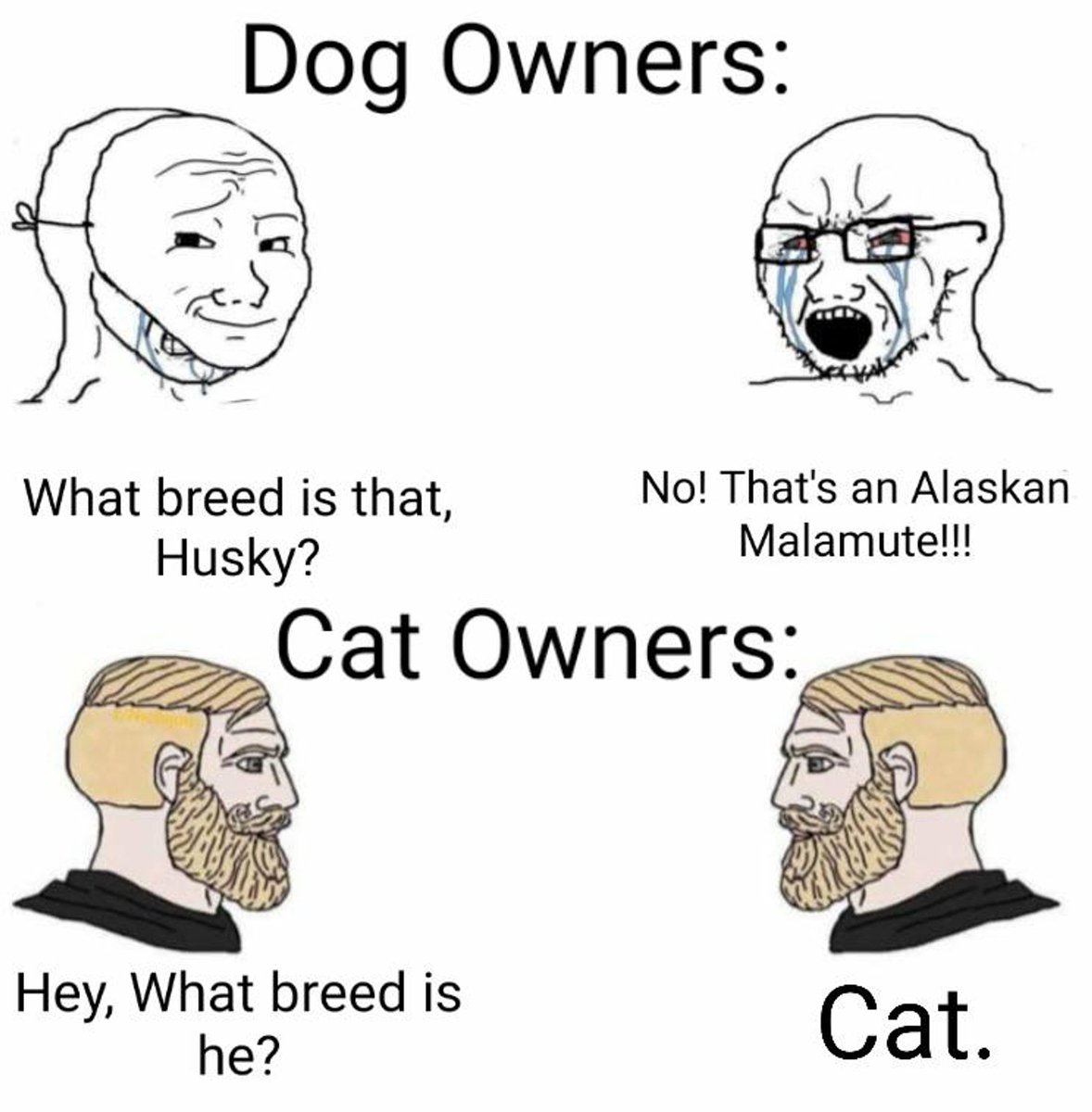 memesfolderx tweet picture