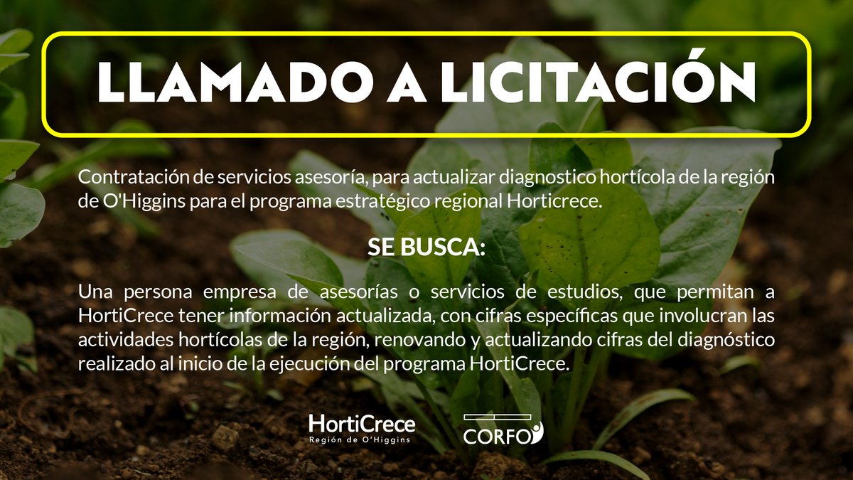 📌!Atención!
Revisa las bases aquí 👉 tinyurl.com/26do55kh