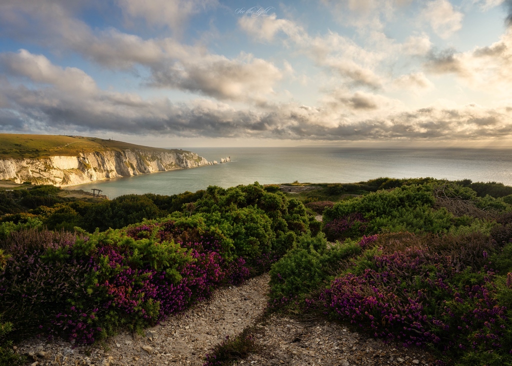 Isleofwight's tweet photo. No words needed... 💚

📌 Headon Warren 
📷️ See the Light Photography
⁠
#explorebritain #england #visitisleofwight #exploreisleofwight #photo #islandlife #needleslandmarkattraction #alumbay #headonwarren #inviting #peaceful #westwight #landscape #sunset #eveningglow https://t.co/DcBggCS0Yp
